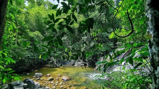 Ton Pring Waterfall
