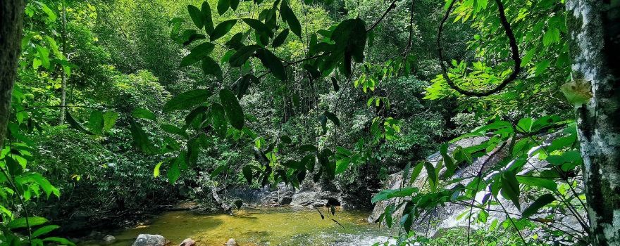 Ton Pring Waterfall