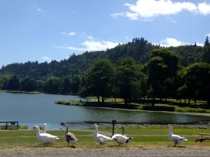 Trojan Park