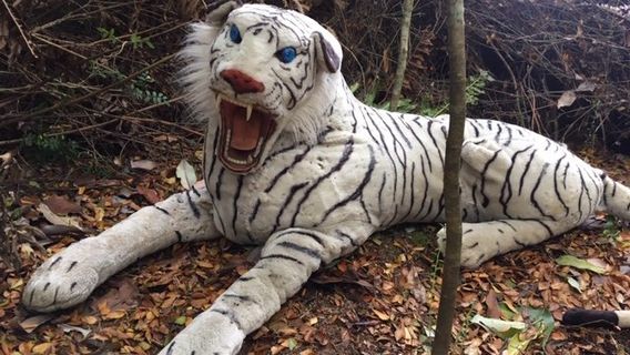 Parque Ecológico y Mitológico de Chiloé