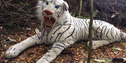 Parque Ecologico y Mitologico de Chiloe