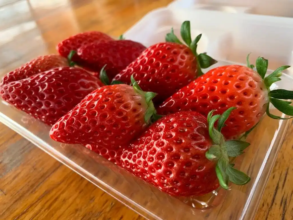 Fuji Oshino Berryland 주변 호텔