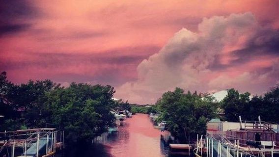 Dolphins Plus Marine Mammal Responder