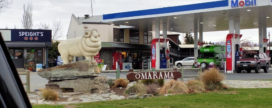 Omarama Sheep Statue