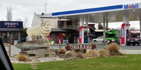 Omarama Sheep Statue