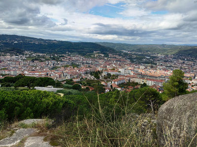 Botanico de Montealegre
