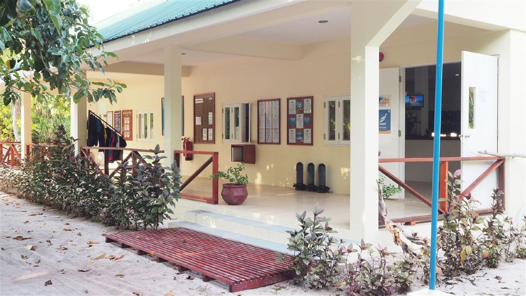 Toronto to Hanimaadhoo Flights