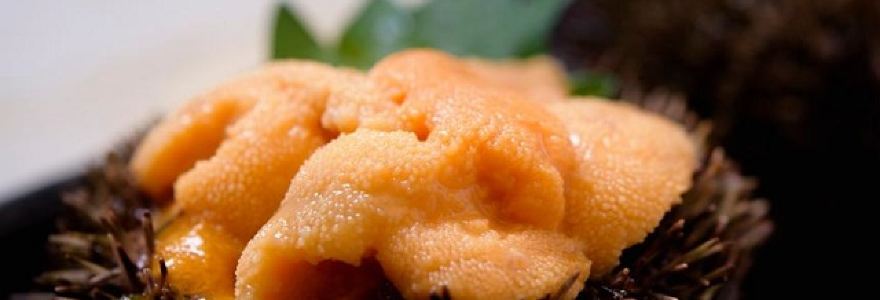 Villas des Mariages Nagano