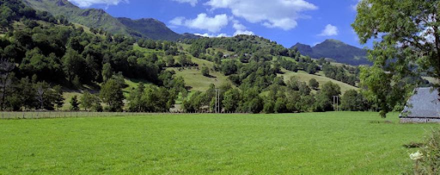 Camping Puy Mary
