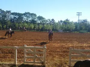 Events Park Machry