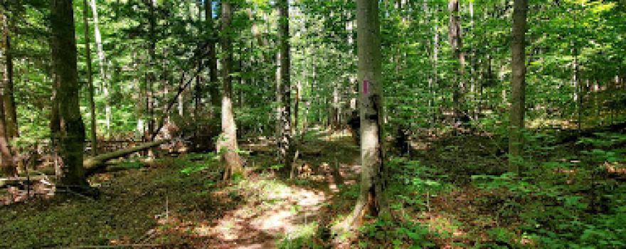 St Pierre Mountain Bike Trail