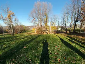 Parc du Mont-Bellevue - stationnement Dunant