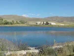 Kandilli Kayak Merkezi - EYOF 2017 - Biathlon - Kayaklı Koşu