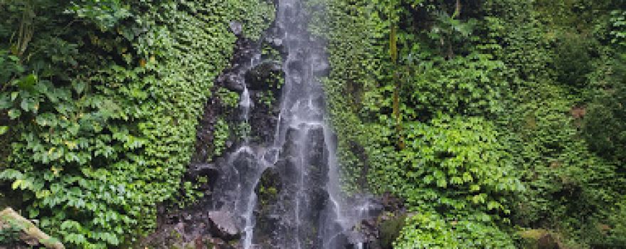 Air Terjun Suwono