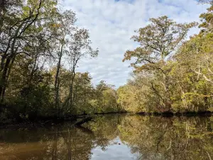 Pocomoke River Canoe Company