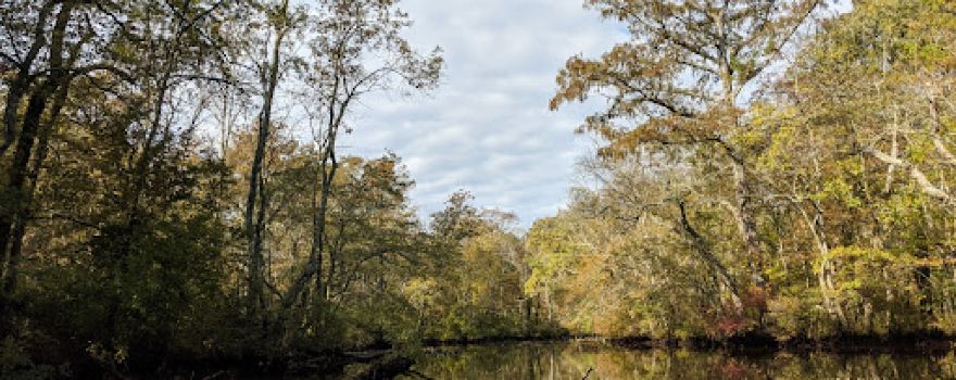 Pocomoke River Canoe Company