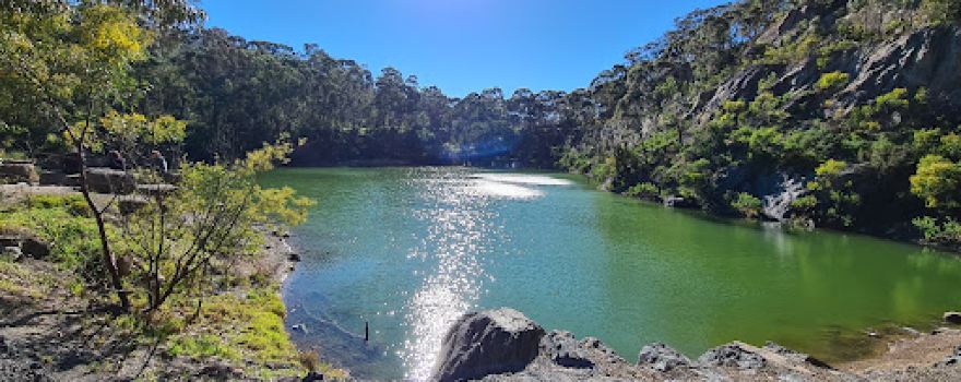 Yellow Gum Park