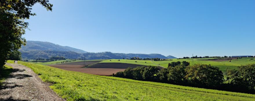 Skulpturenweg Reinach