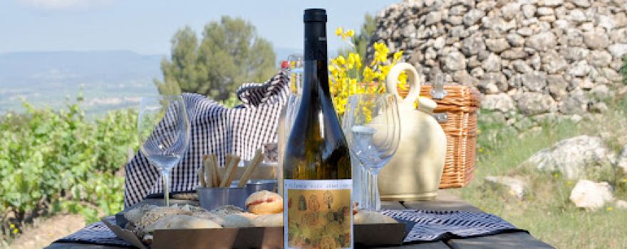Albet i Noya | Vins ecològics del Penedès. Visita el celler i winebar.