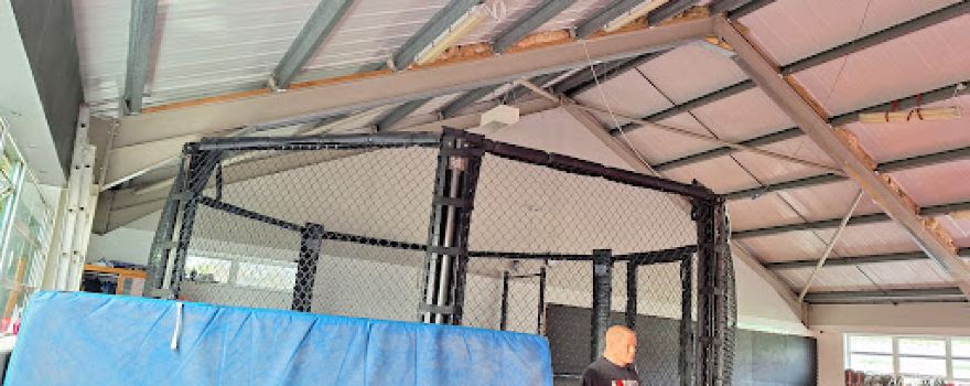 Impact MMA