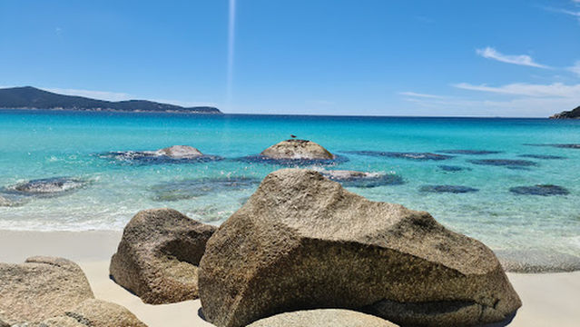 Little Waterloo Bay Hikers Camp