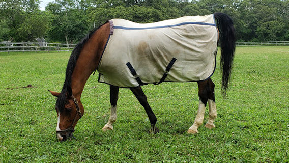 Arrowhead Farm