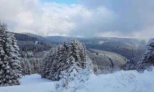 Ski Alpinum Schulenberg