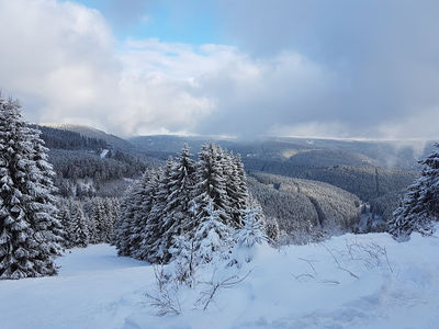 Ski Alpinum Schulenberg