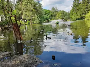 Streichelzoo Kappel