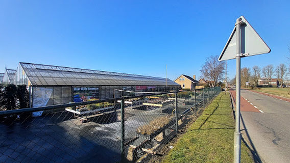 Hillegom