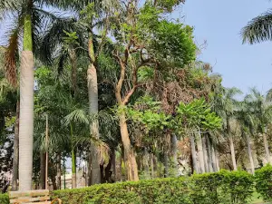 Bareed Shaahi Garden