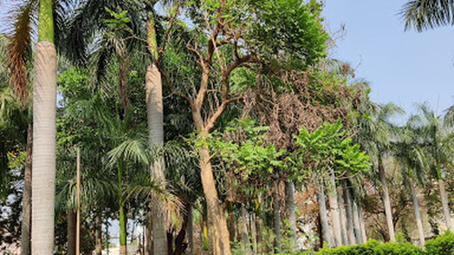 Bareed Shaahi Garden