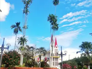 Tauramena Park
