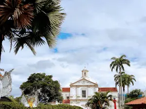 Igreja Matriz De Sao Fidelis