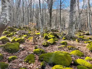 Kopren Ecotrail
