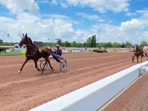 Hippodrome de Laval Bellevue-la-Forêt