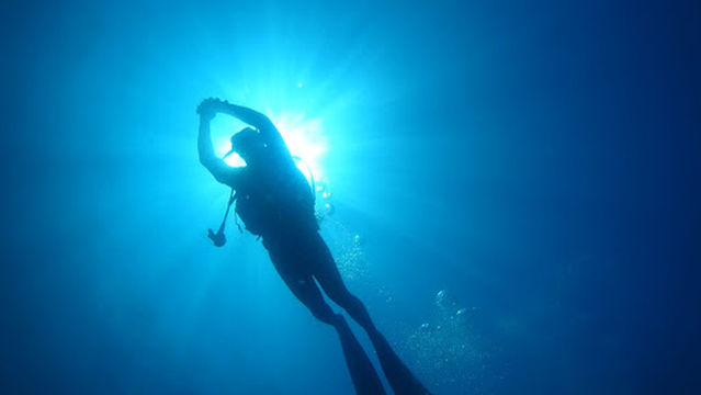 Gökçeada Diving Center