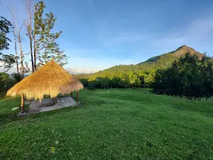 Observatorium Teropong Bintang Nasional-Timau