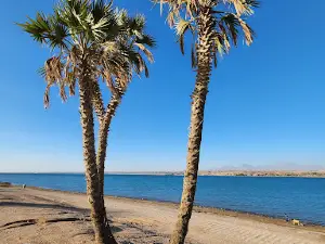 Neom beach