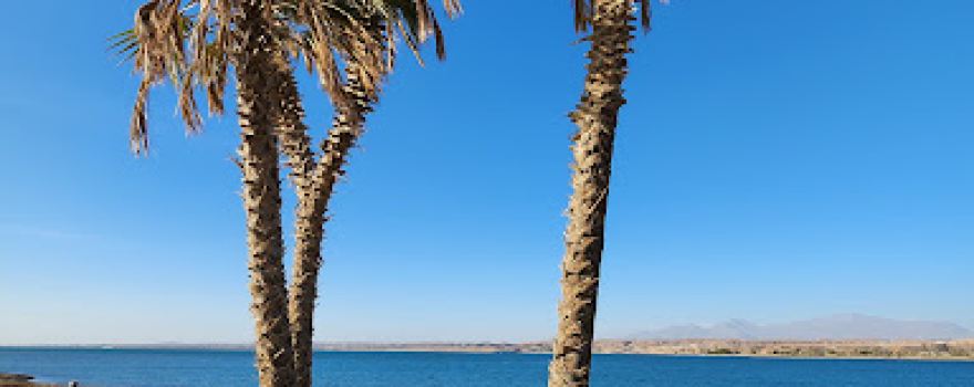 Neom beach