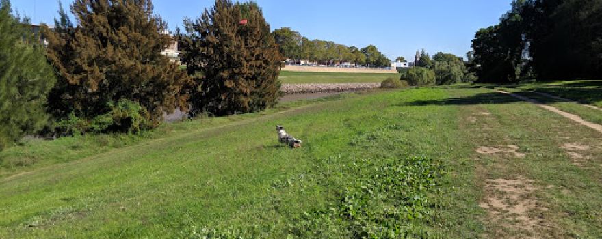 The Esplanade Lorn Dog Off-Leash Area