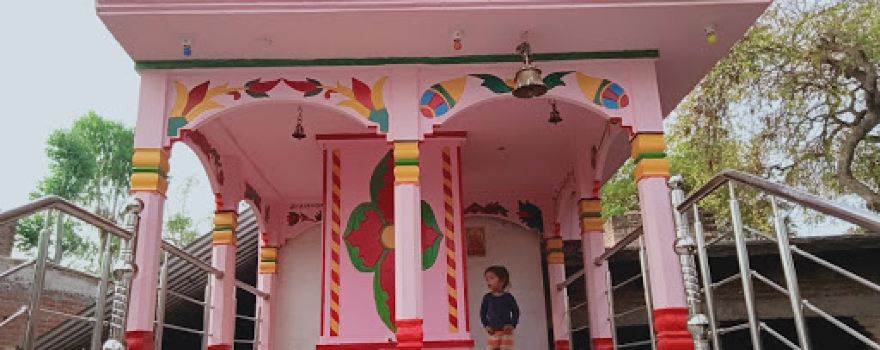 Pure tulai lodh