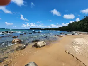 Awenda Pet Beach Area