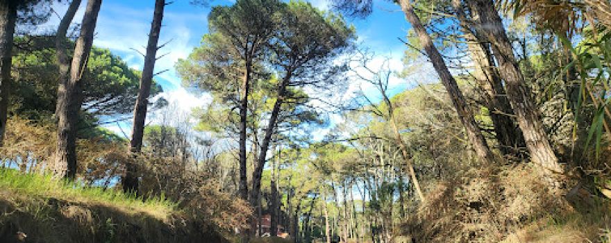 Cariló Golf Club