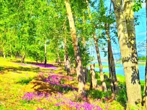 Городской Парк