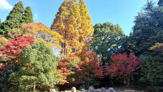 Minō
