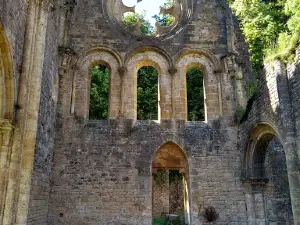 Foret d'Orval