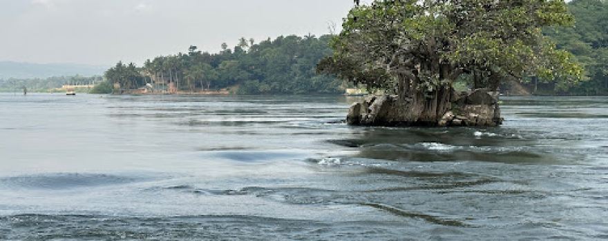 Market source of the nile