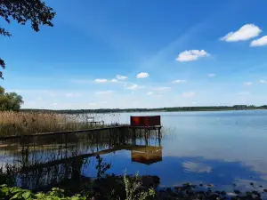 Arendsee