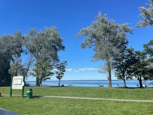 Chapman Park
